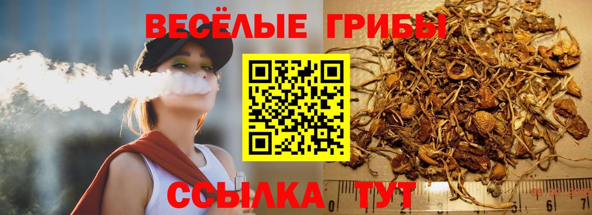 Галлюциногенные грибы прущие грибы  Вход с VPN  что такое наркотик  Курчалой 